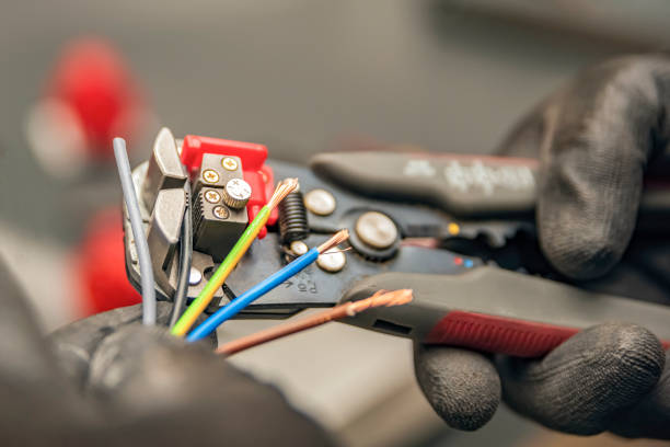 Best Home Electrical Repair  in Dorothy, NJ