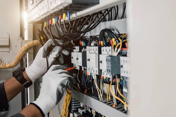 Best Local Electrician Companies  in Dorothy, NJ